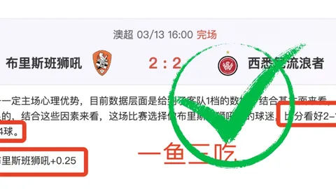 “2025年哈尔滨成功举办上合组织第二届雪地足球赛”