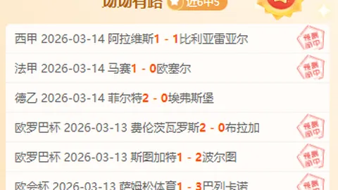 “亚冬会成首个全面采用绿色电力保障的体育盛事”